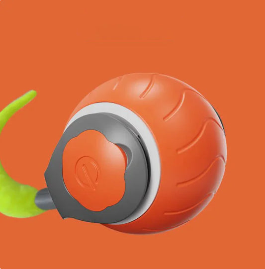 Interactive Indoor Cat Ball Toy