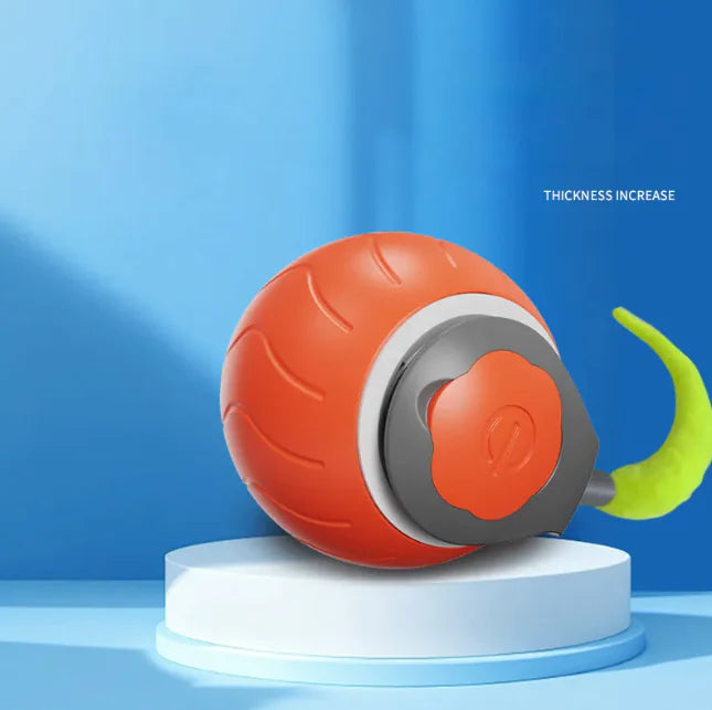 Interactive Indoor Cat Ball Toy