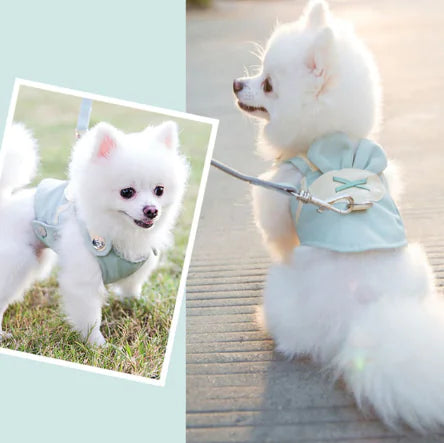 Pet Vest Harness Leash for Small to Medium Dogs