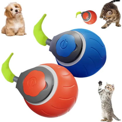 Interactive Indoor Cat Ball Toy