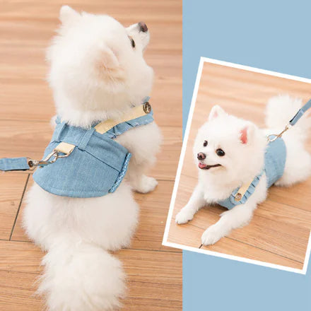 Pet Vest Harness Leash for Small to Medium Dogs