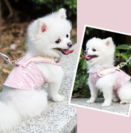 Pet Vest Harness Leash for Small to Medium Dogs